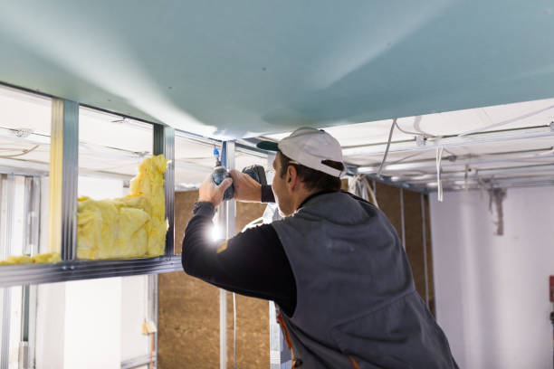Best Wall Insulation Contractor  in Los Gatos, CA
