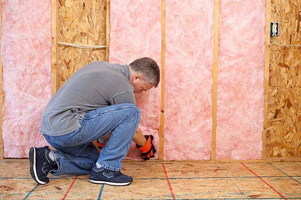 Best Insulation Repair Services  in Los Gatos, CA