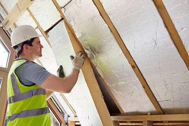 Best Energy-efficient Insulation  in Los Gatos, CA