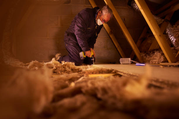 Best Local Insulation Services  in Los Gatos, CA