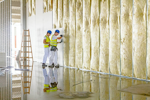 Best Insulation Replacement Services  in Los Gatos, CA